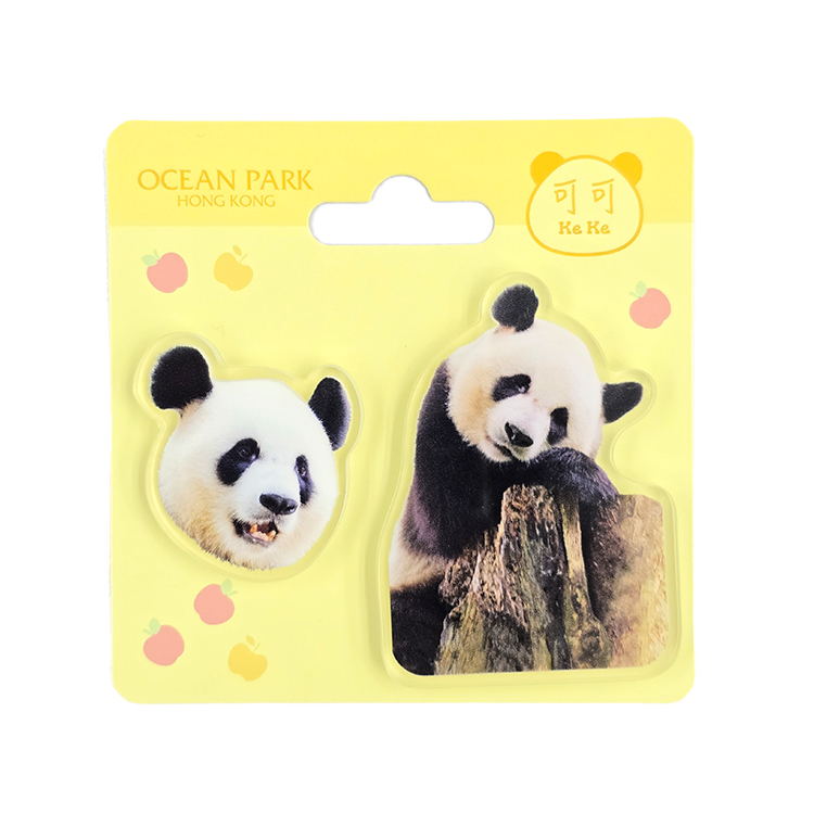 Acrylic magnet 2pcs Set - Ke Ke