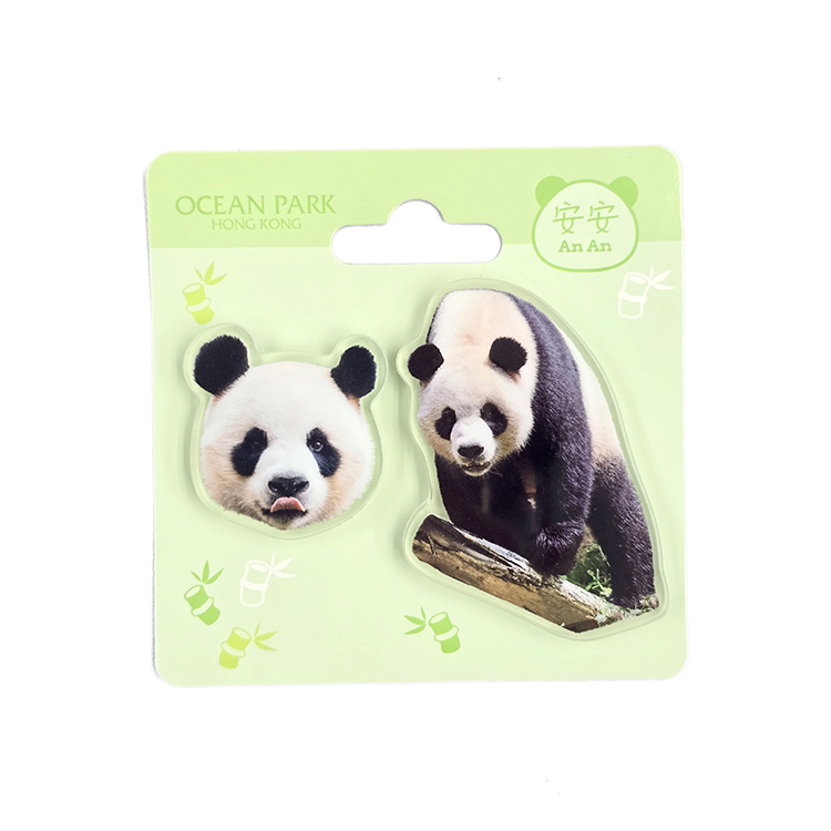 Acrylic magnet 2pcs Set - An An