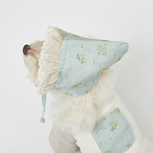 Louisdog 薄荷牛奶寶寶帽