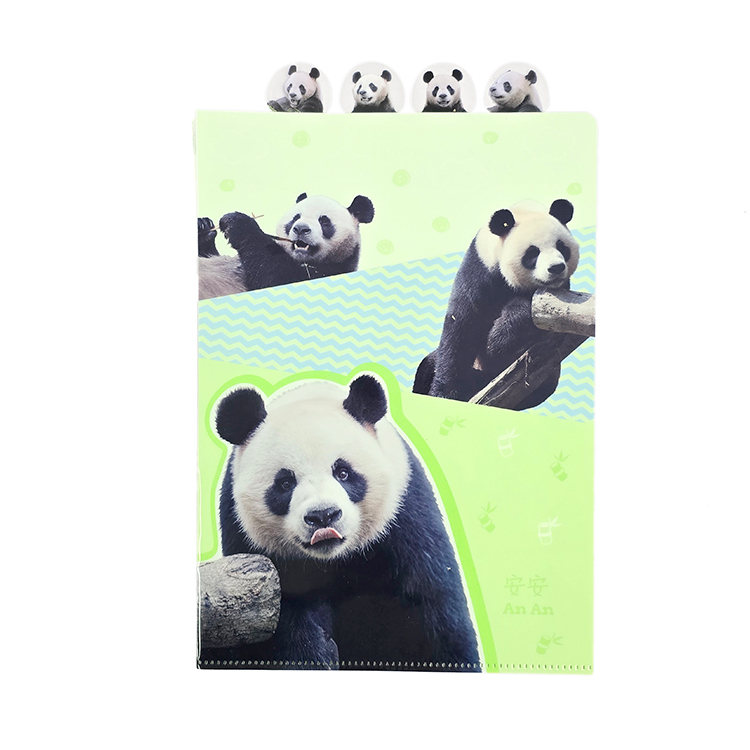 An An A4 Index Folder