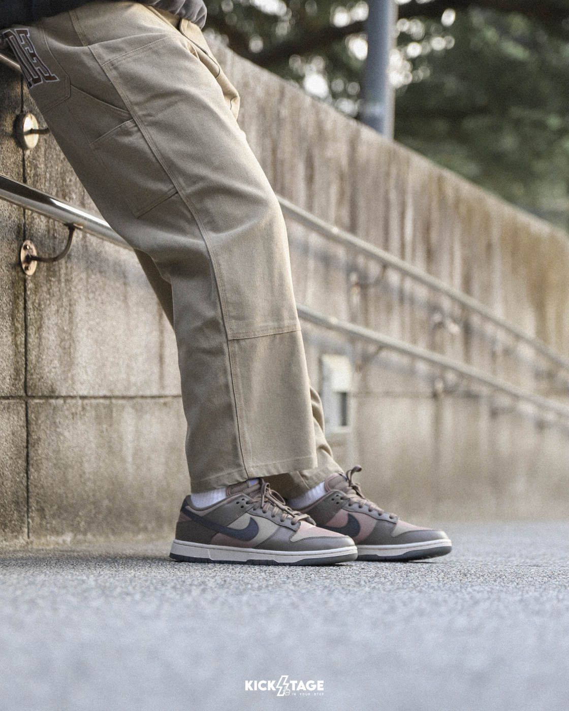 男女鞋 NIKE W DUNK LOW 'Mink Brown' 泰迪熊棕 巧克力色 低筒 復古 休閒鞋【FZ2552-001】