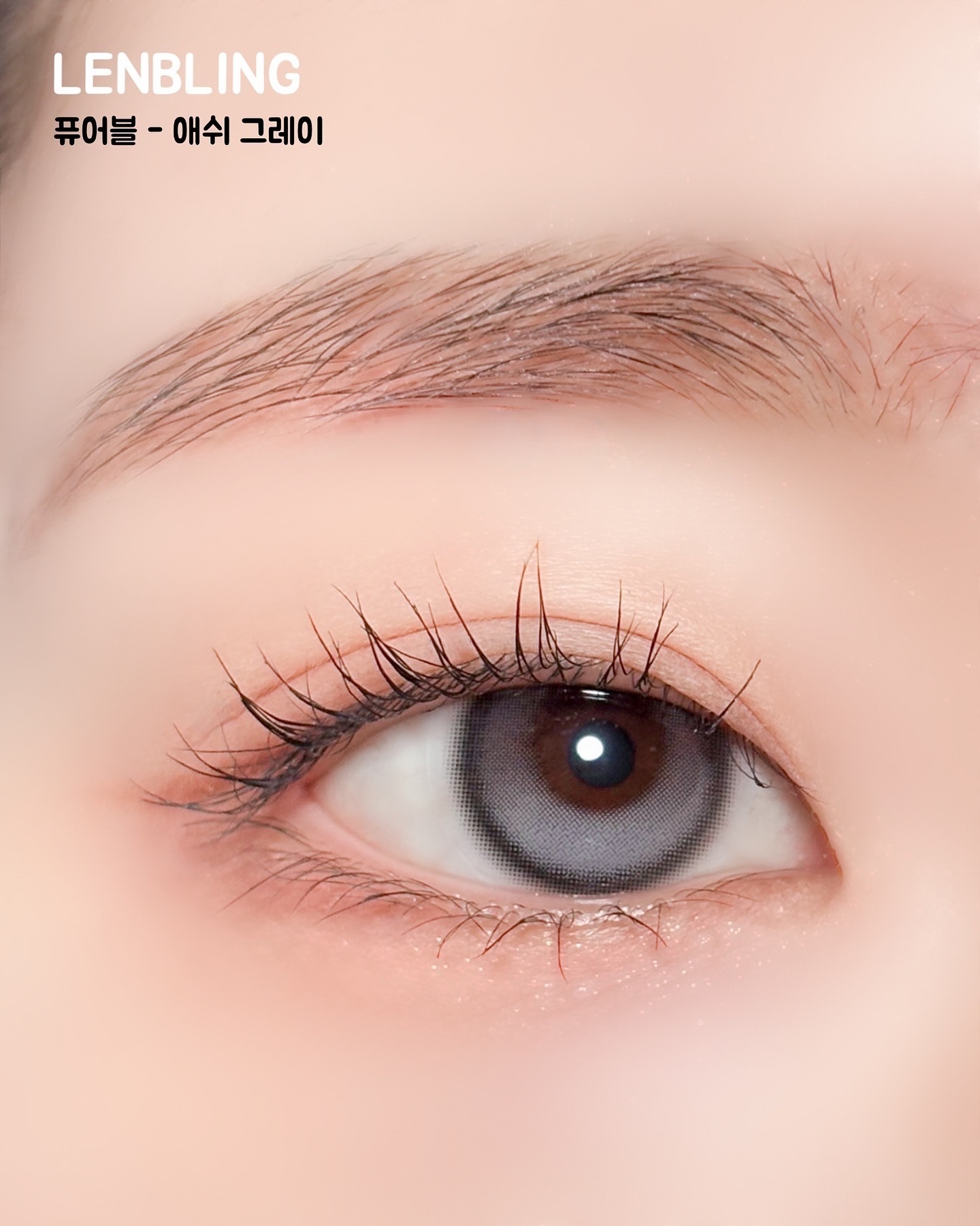 Lenbling Pureble 1 Day Ash Gray｜日拋彩妝隱形眼鏡｜每盒10片