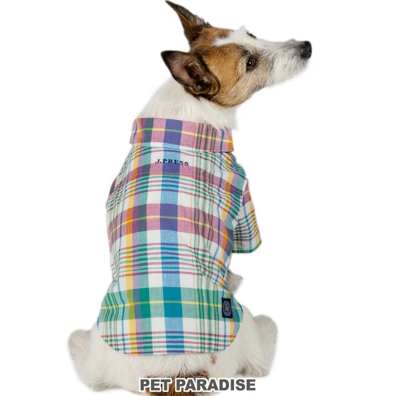 【Pet Paradise】J.Press Madras Check Shirt <032-55862>