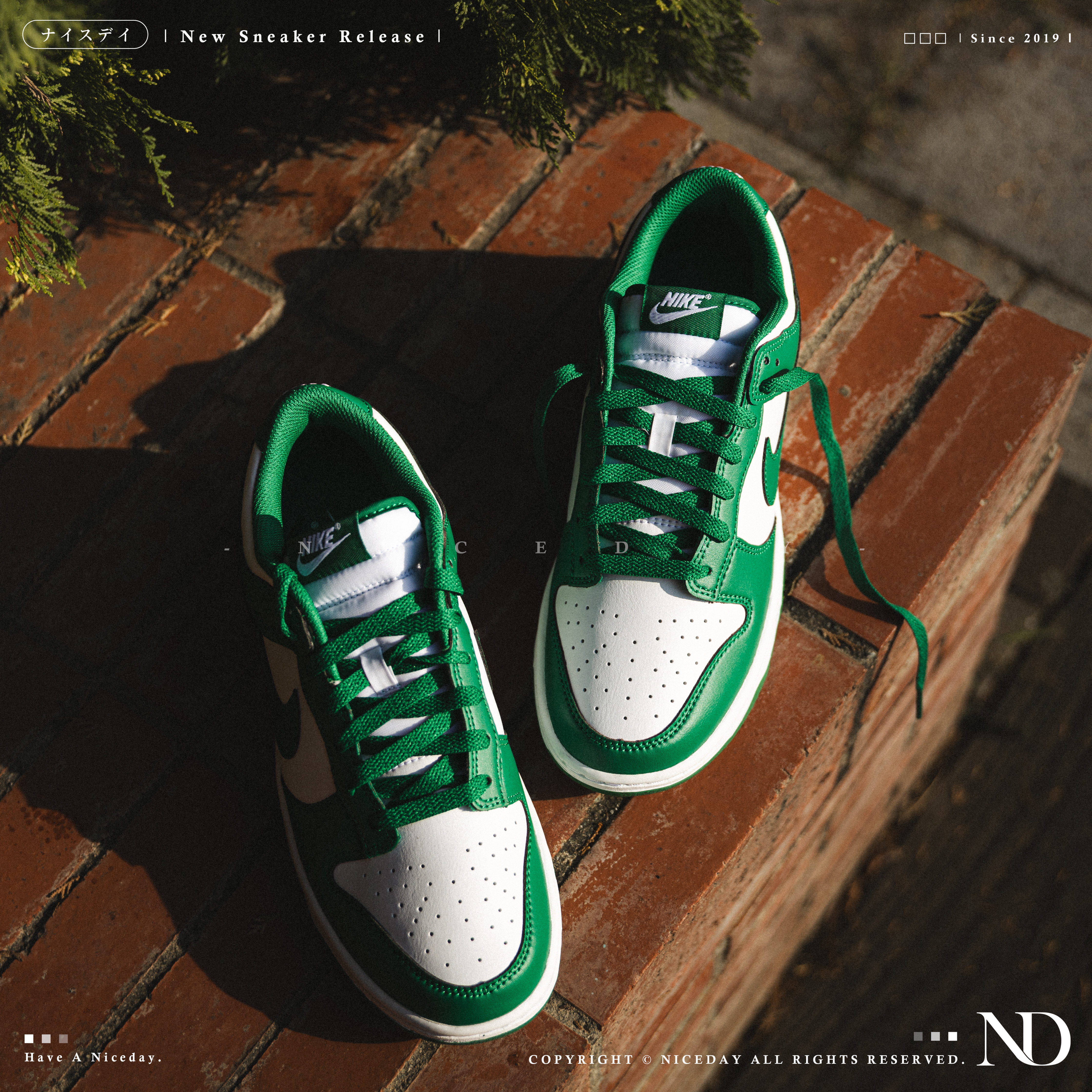 NICEDAY 現貨Nike Dunk Low Retro 祖母綠男款HF5441-101