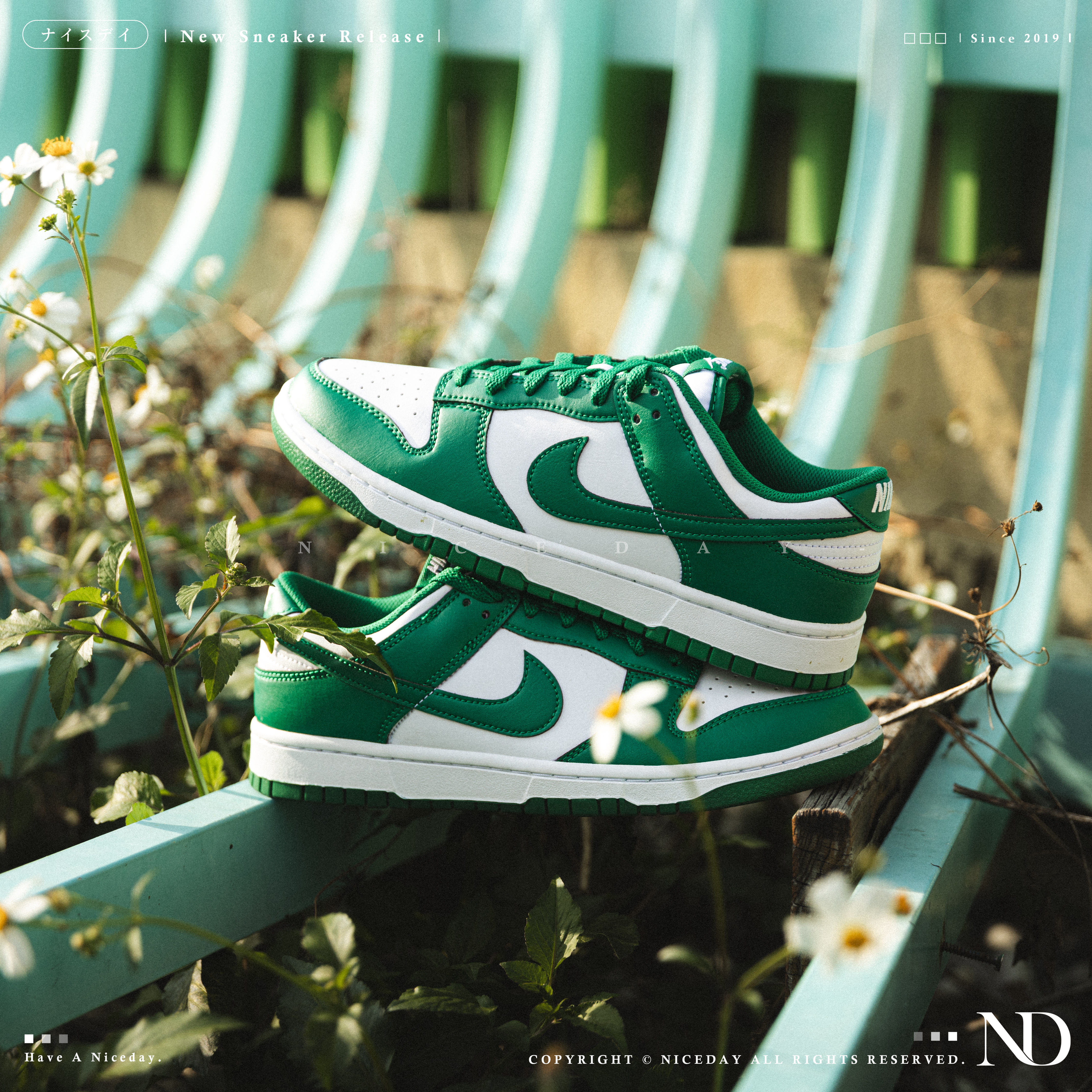 NICEDAY 現貨 Nike Dunk Low Retro 祖母綠 森林綠 綠色 男款 HF5441-101