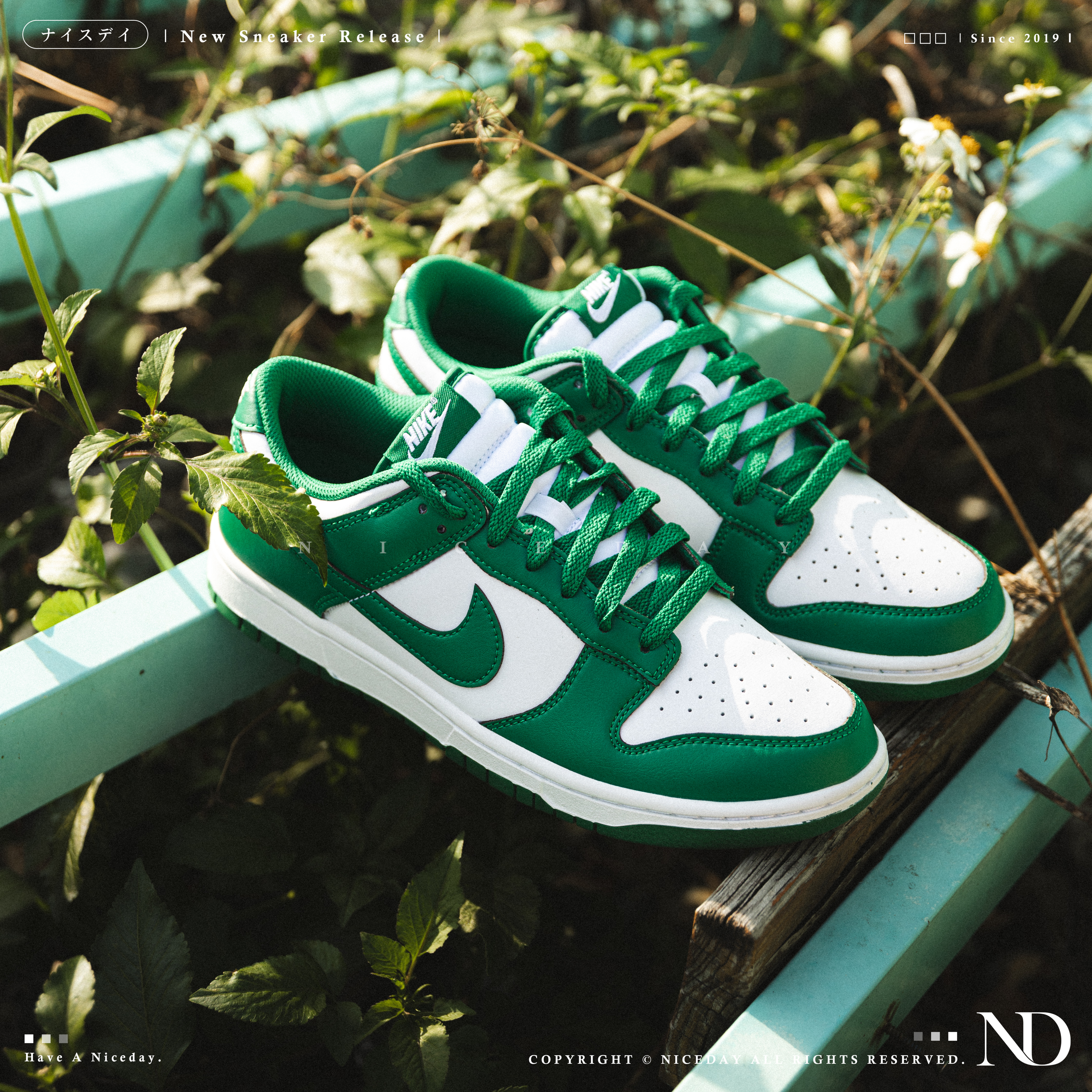 NICEDAY 現貨 Nike Dunk Low Retro 祖母綠 森林綠 綠色 男款 HF5441-101