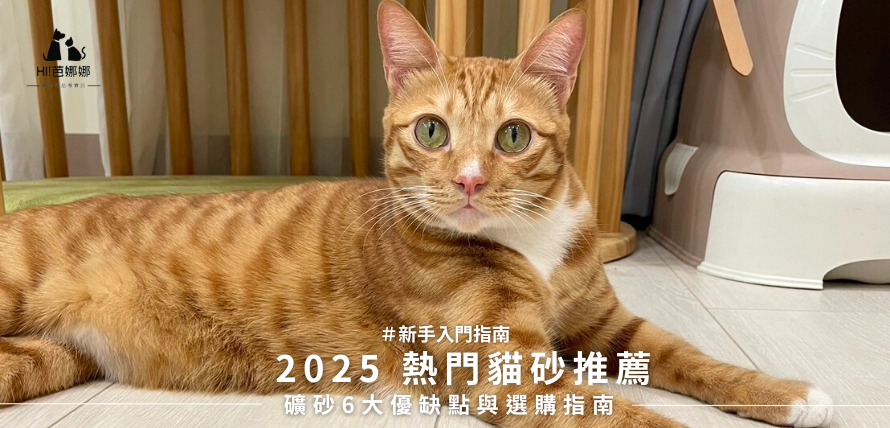 2025 熱門貓砂推薦：礦砂6大優缺點與選購指南