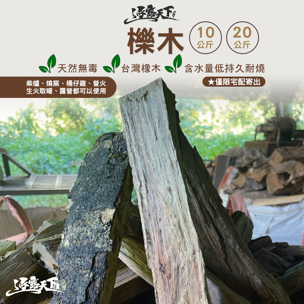 CW 櫟木 台灣橡木