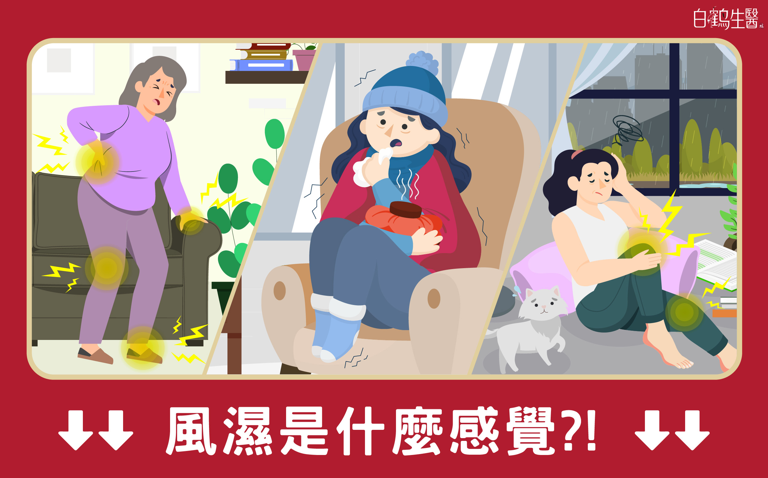 常常聽到但又很難理解的風濕到底是什麼？