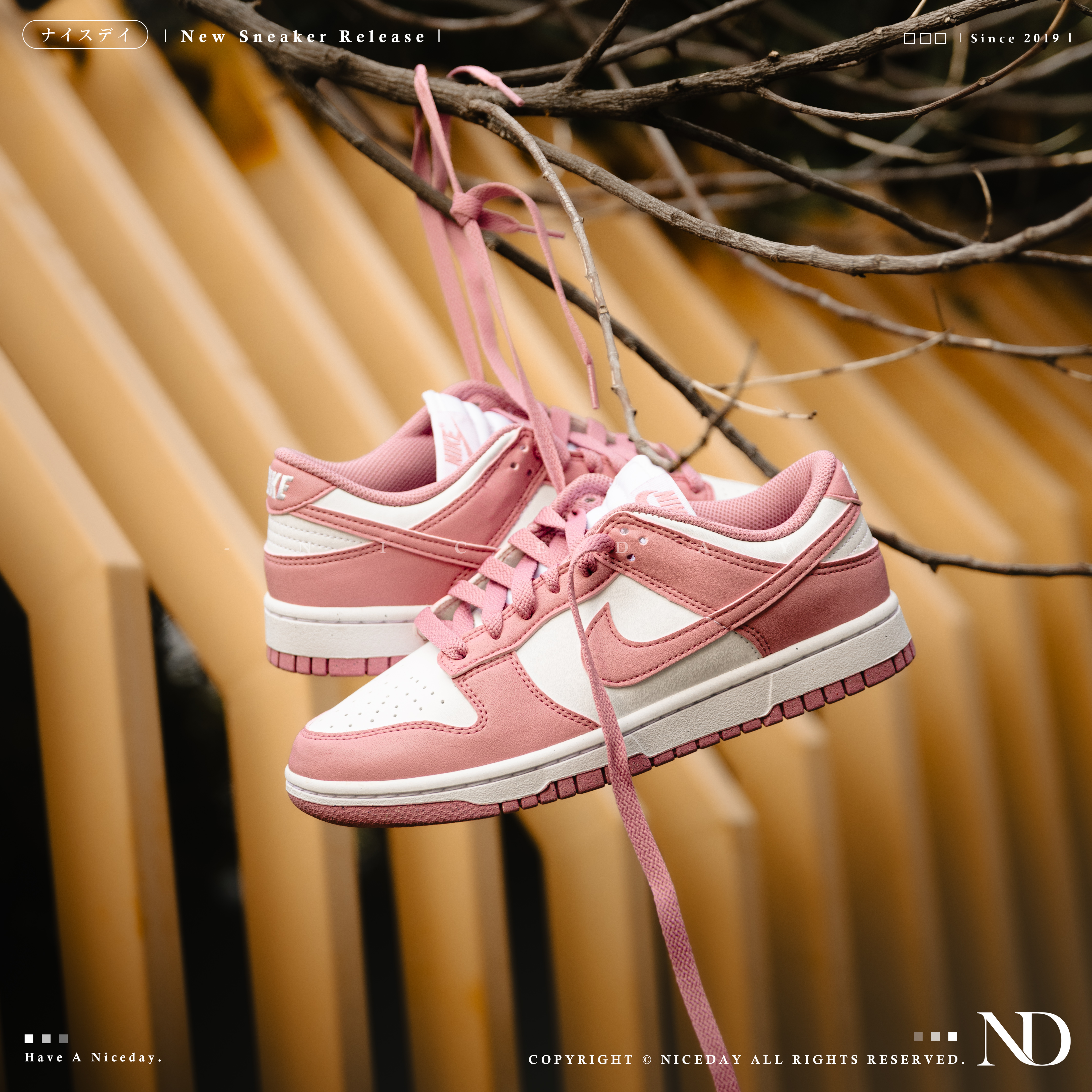 NICEDAY 現貨 Nike Dunk Low 櫻花粉 粉色 淡粉 淺粉 女鞋 DD1873-112