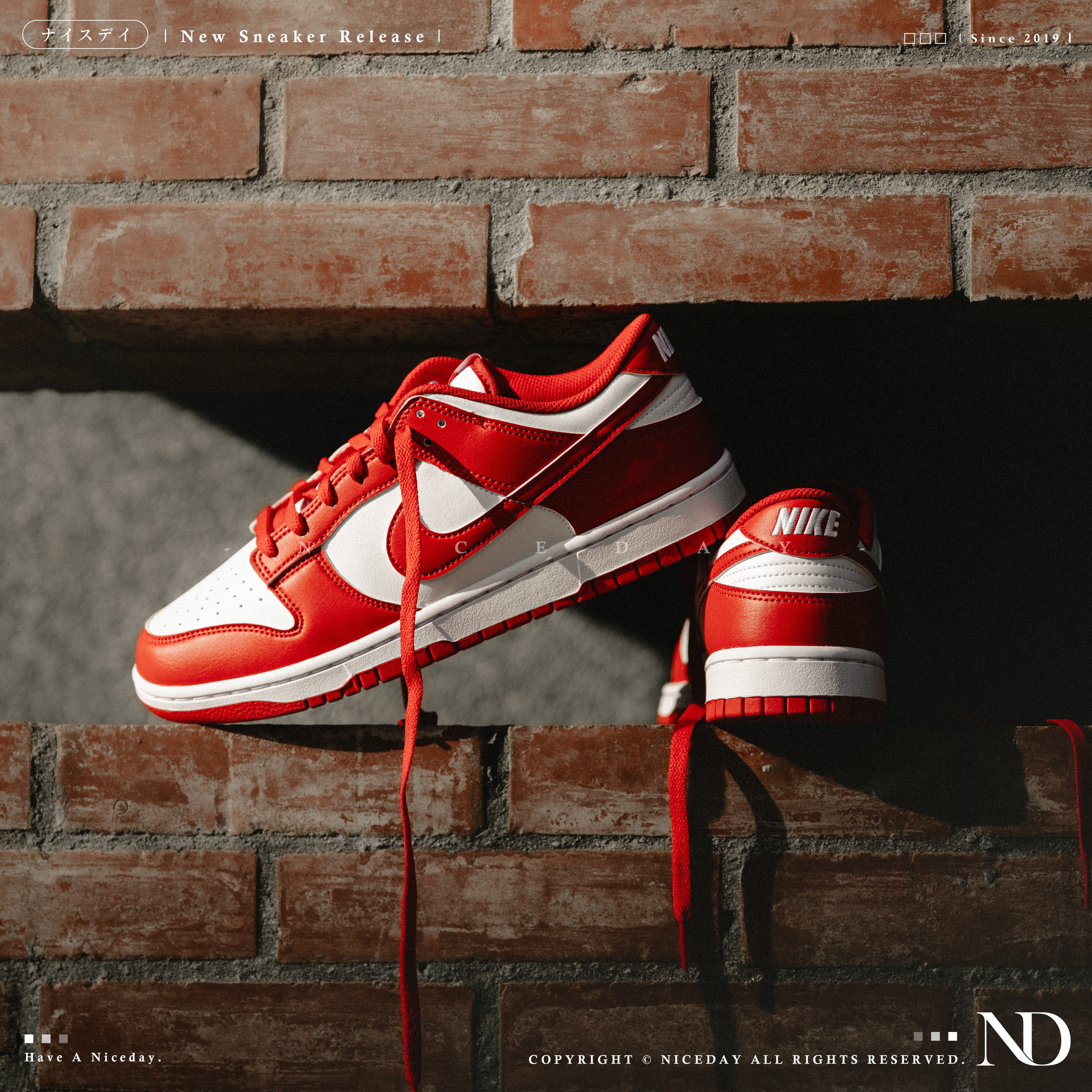 NICEDAY 現貨 Nike Dunk Low 大學紅 紅色 紅白 HF5441-104