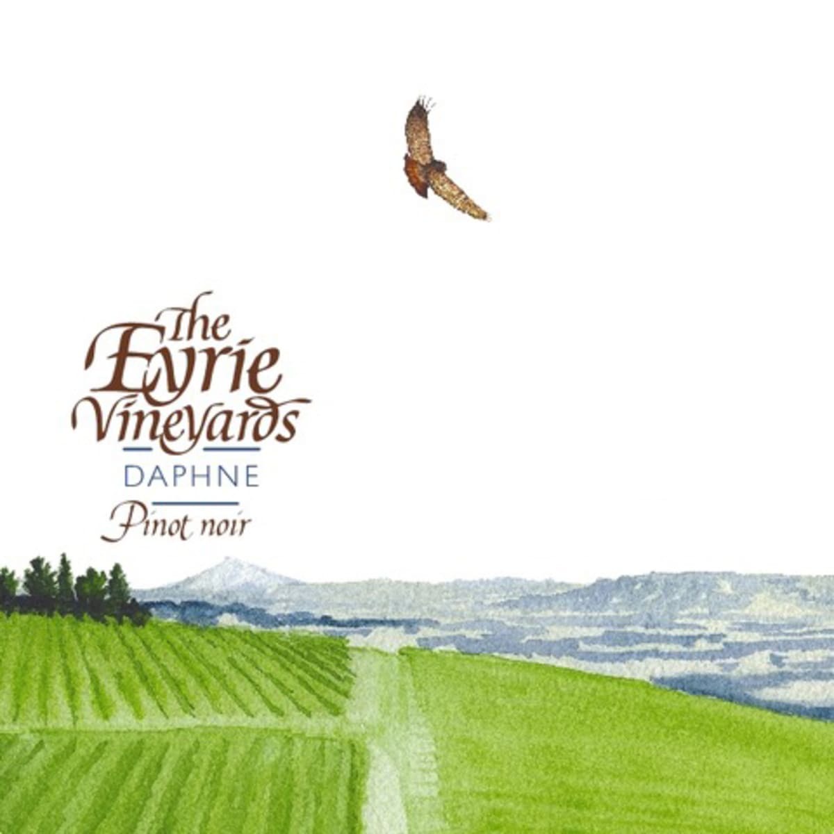 Eyrie Vineyards Daphne Pinot Noir 2021 (RP97)