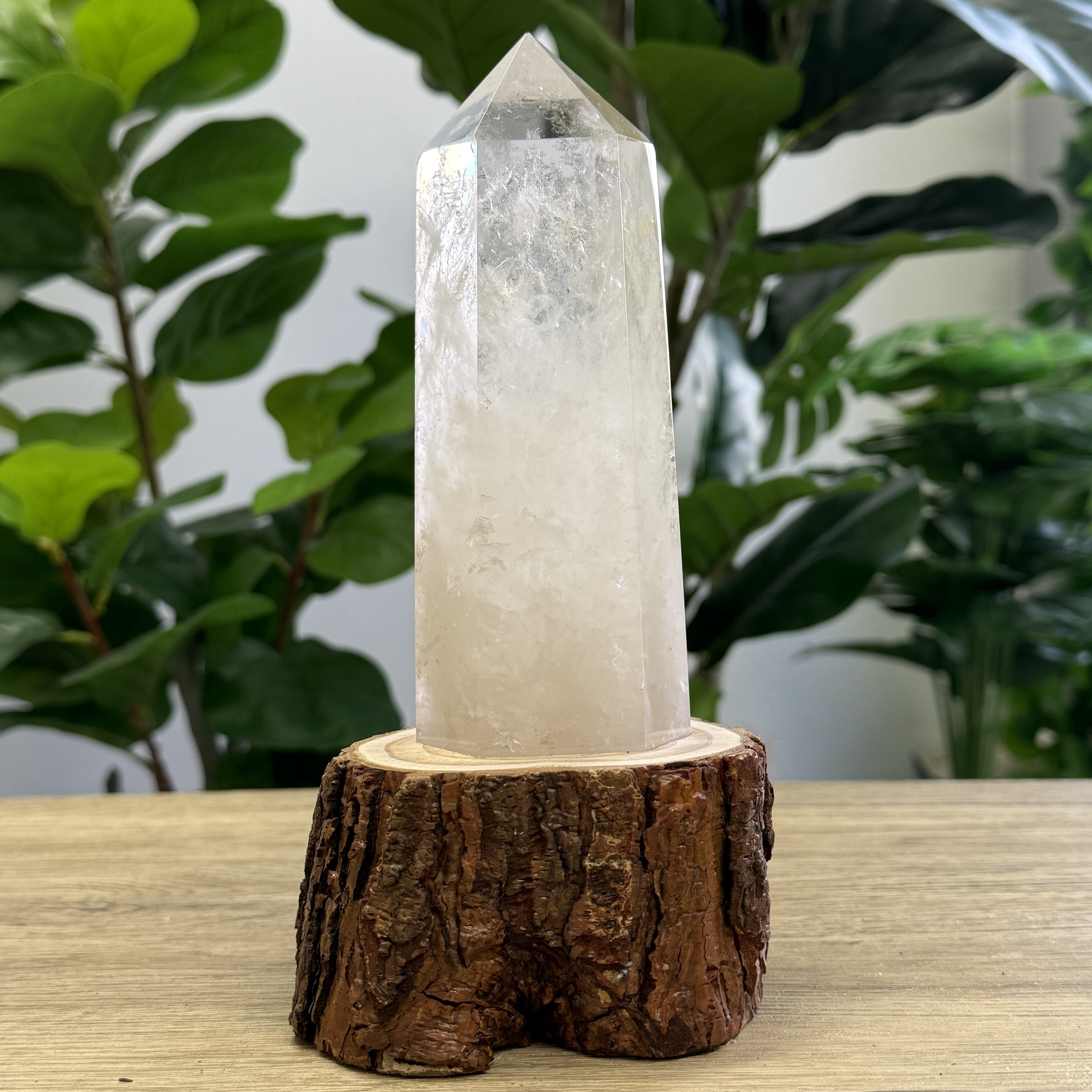 白晶柱 手圍17.5以上 WD1931