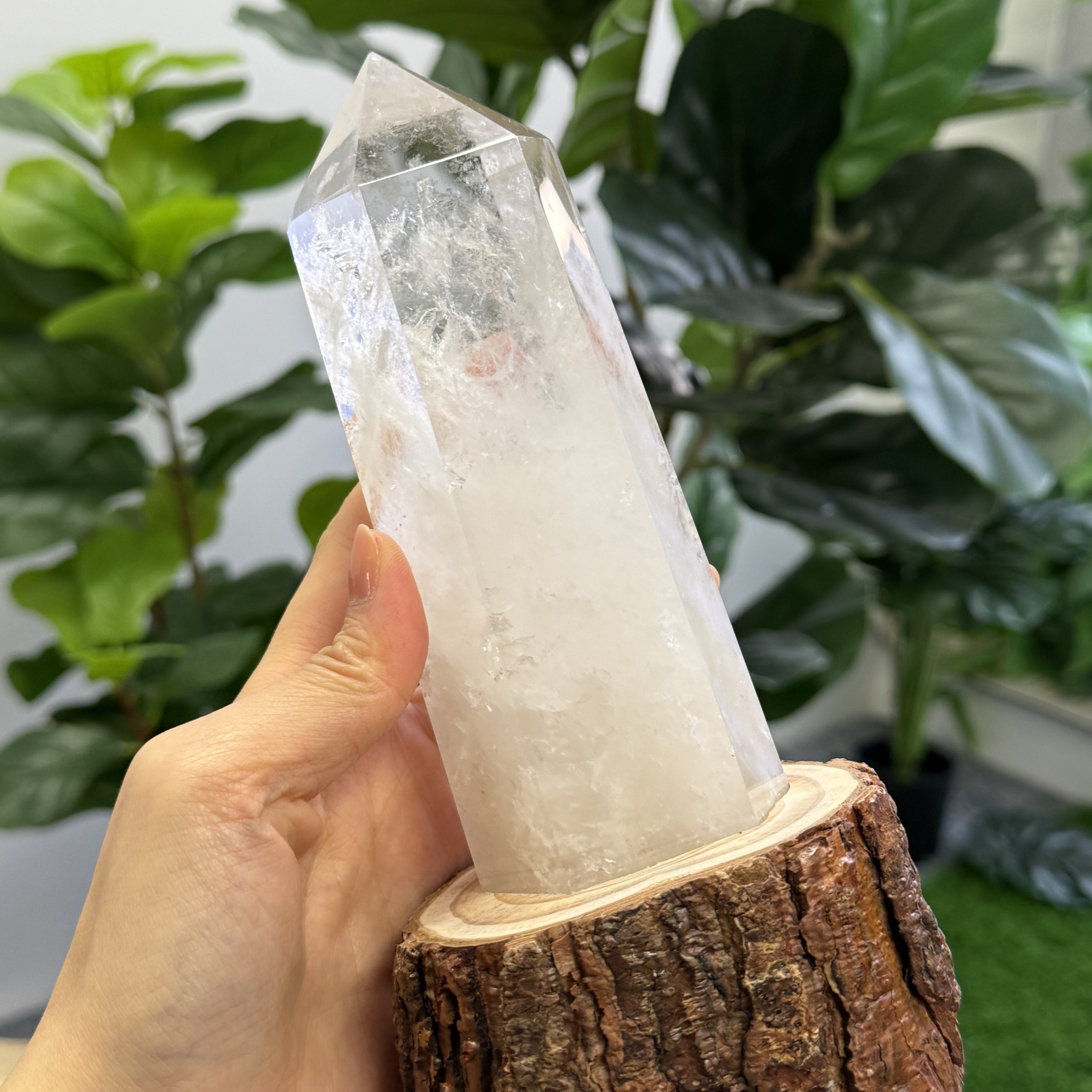 白晶柱 手圍17.5以上 WD1931