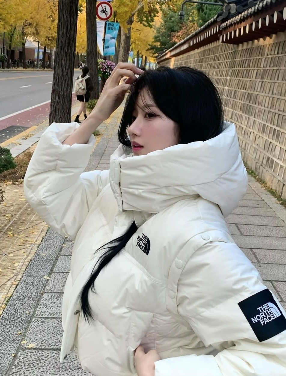 【代購】 (W) The North Face Novelty Nuptse  短版羽絨外套 羽絨背心 可拆