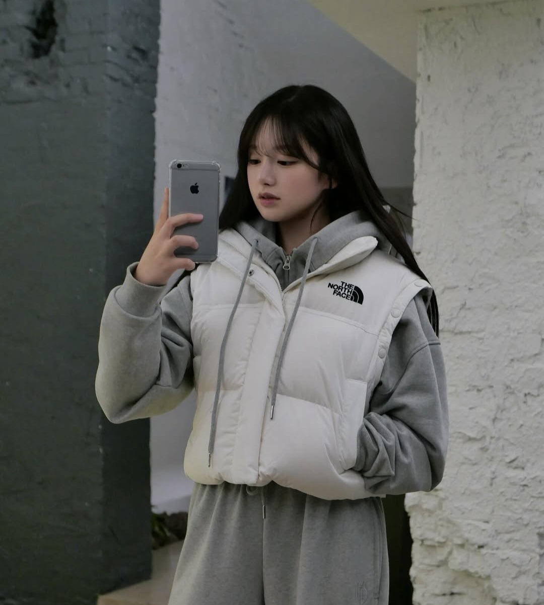 【代購】 (W) The North Face Novelty Nuptse  短版羽絨外套 羽絨背心 可拆