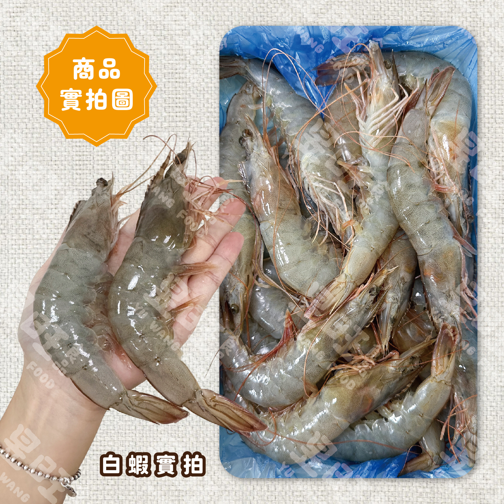 頂級活凍特大生白蝦