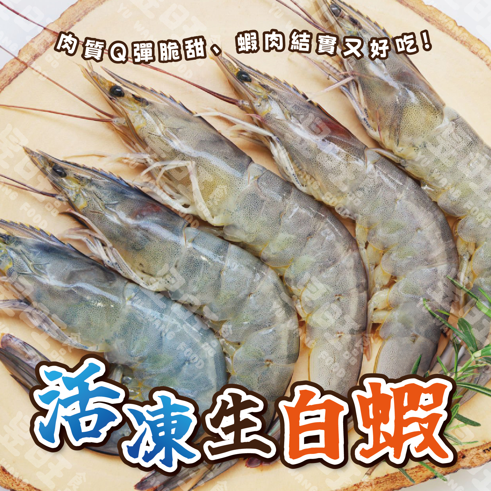 頂級活凍特大生白蝦