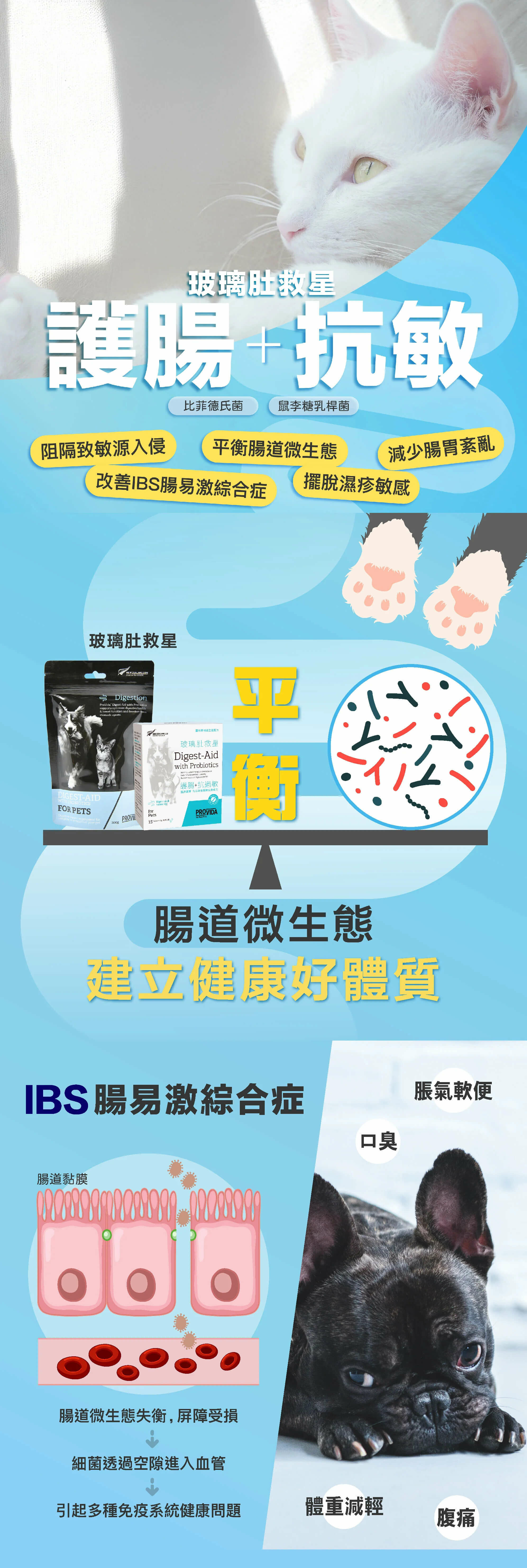 ProVida®寵物玻璃肚救星