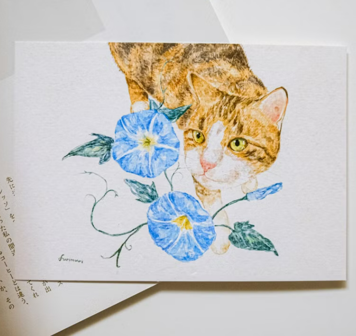 貓與牽牛花 明信片｜furimuri毛乖畫鹿 台灣