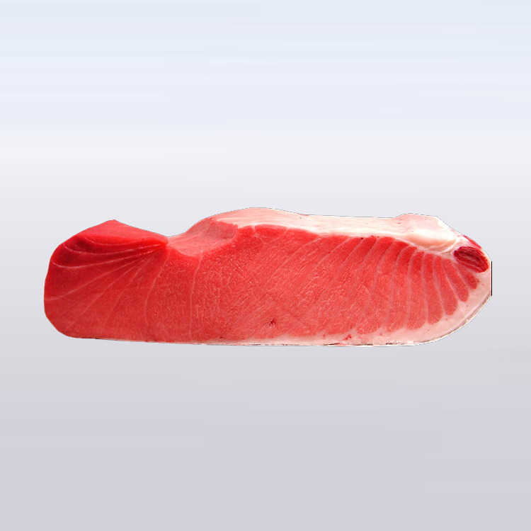 鮪魚大腹