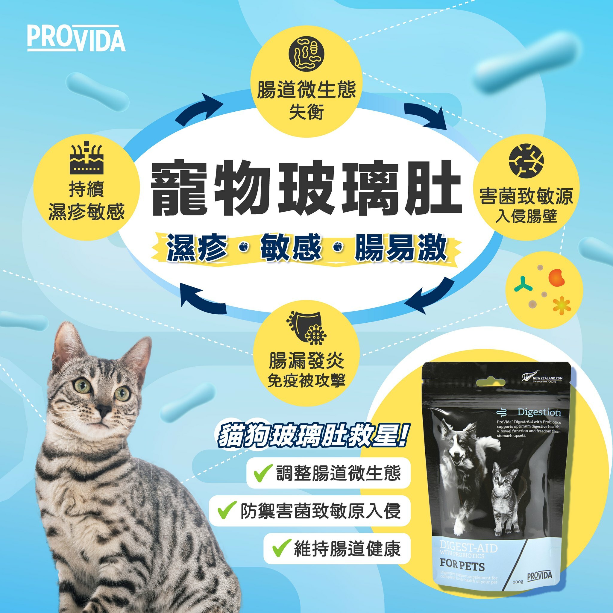 【新品8折】ProVida®寵物玻璃肚救星 (獨立包裝15條) *貓狗適用*