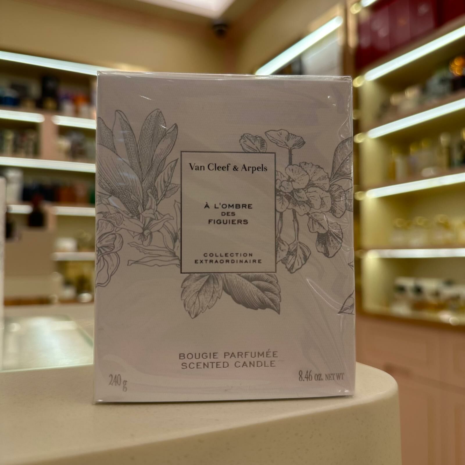 Van Cleef & Arpels A L'ombre Des Figuiers Candle 240g 梵克雅寶 無花果之影香氛蠟燭