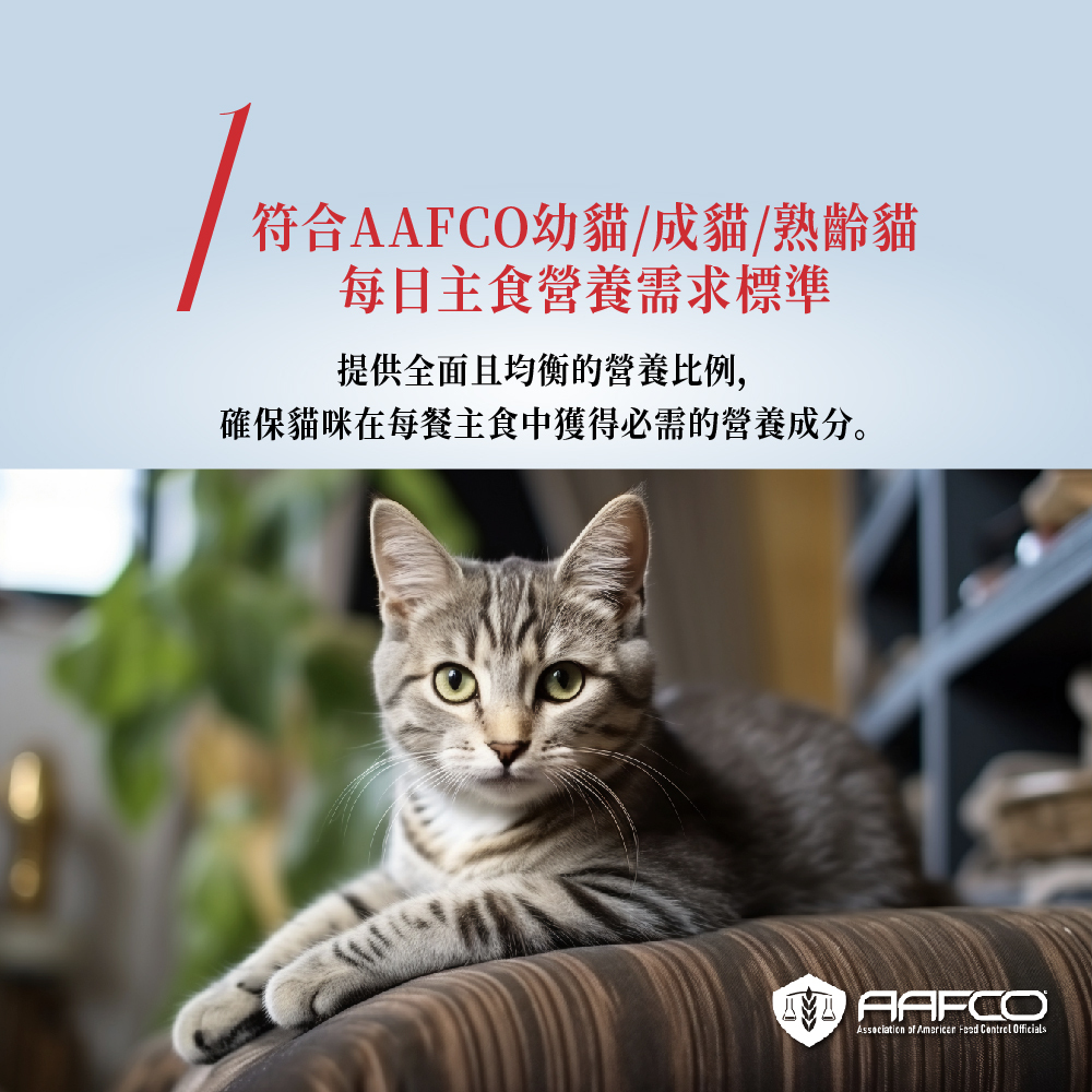 Natural Kitty 自然小貓｜成長系列主食罐(幼貓罐 成貓主食罐 老貓主食罐 高齡貓 腎貓罐)