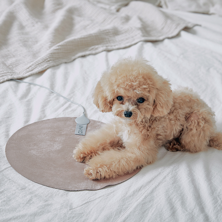 韓國 INKO 絨面極薄便攜電暖墊 PD-S270 (圓形, USB 供電)