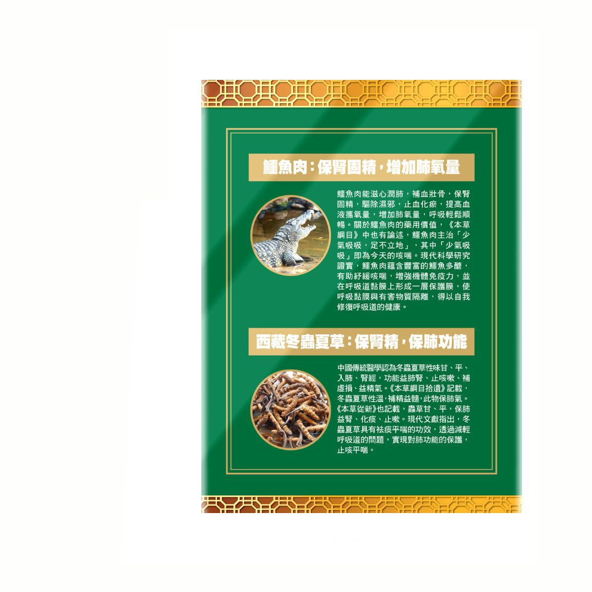 樂道 補肺益腎丸 48粒