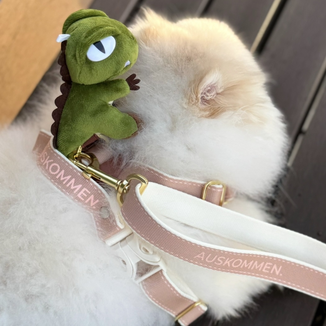 AUSKOMMEN｜寵物坐騎