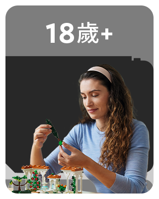 LEGO® 18歲+