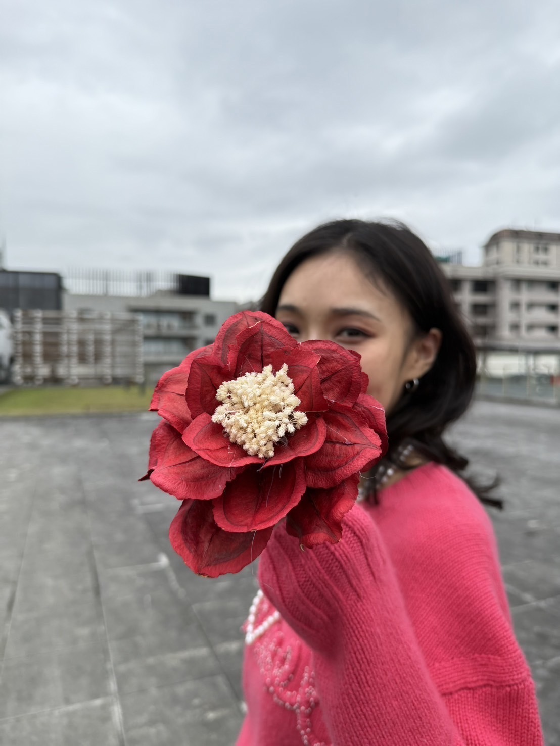 乾燥手工新木蘭花