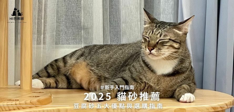 2025貓砂推薦！豆腐砂五大優點與選購指南