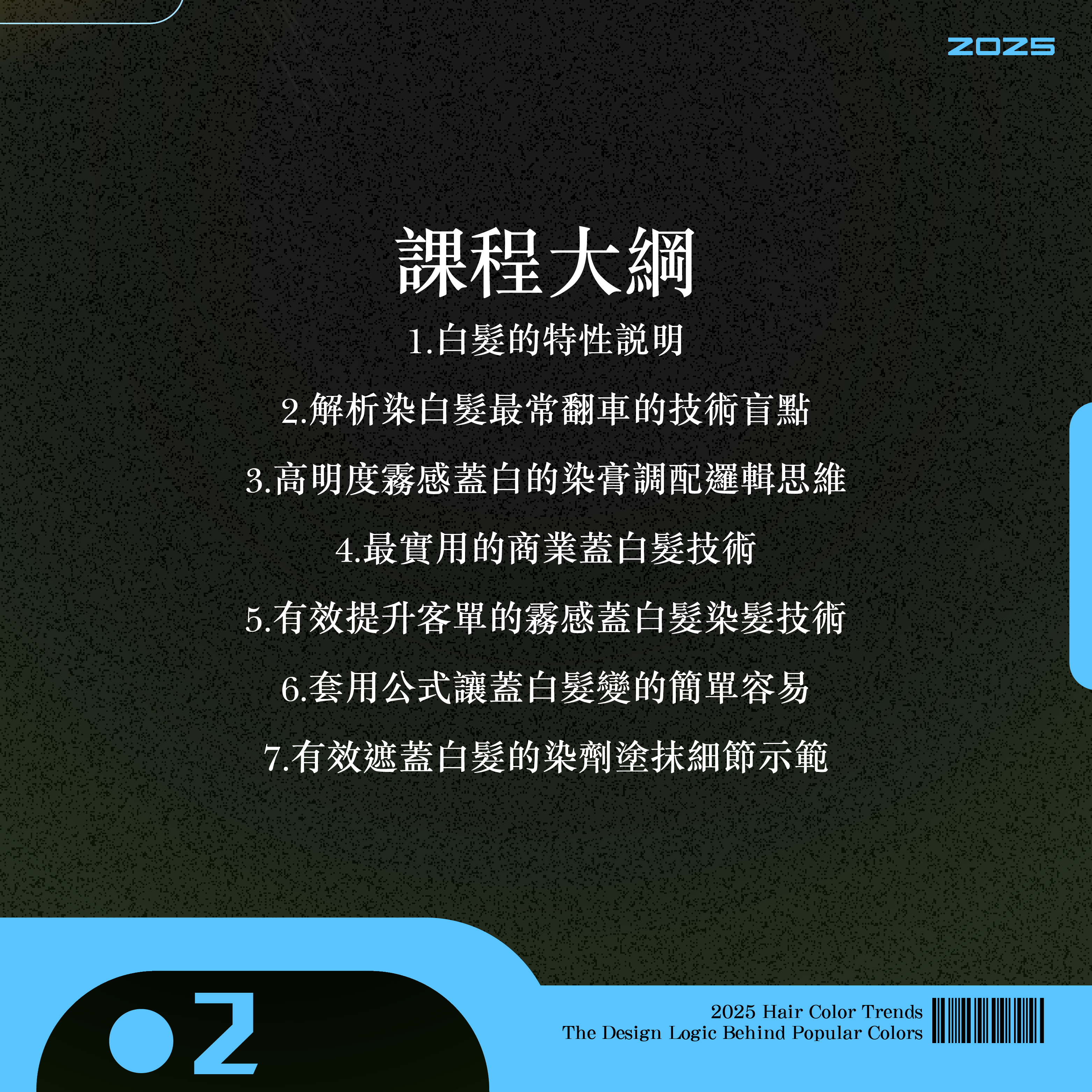 極致霧感蓋白髮-Ethan