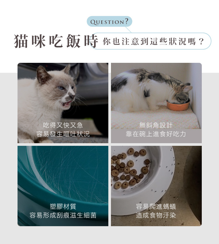 貓咪吃飯時,你也注意到這些狀況嗎