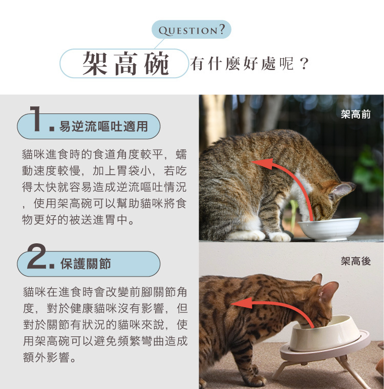 架高碗對寵物的好處