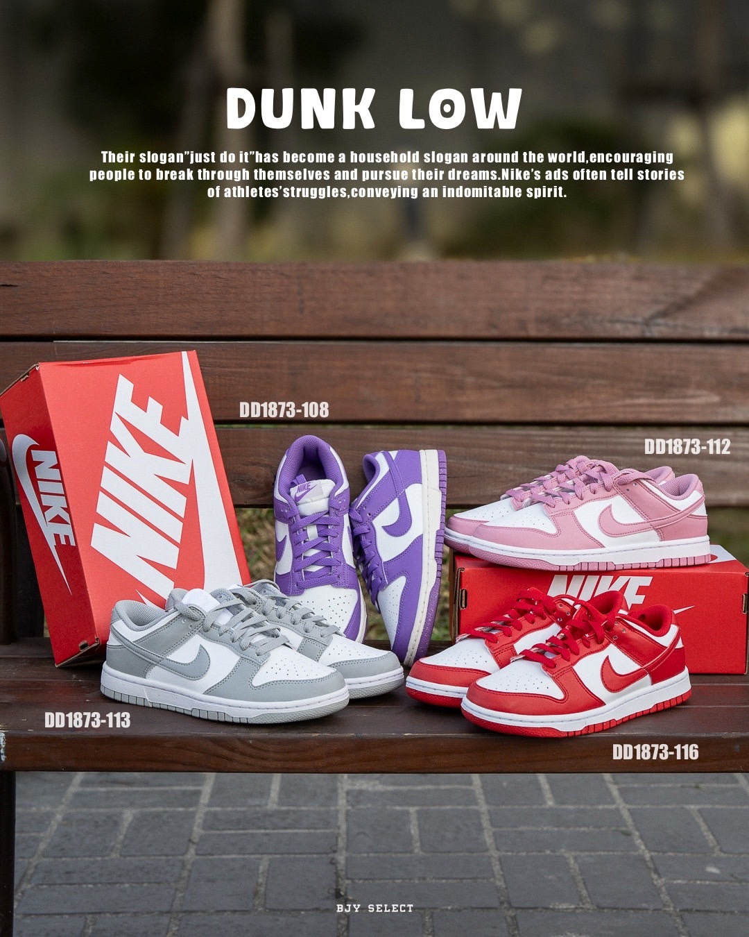 #現貨 Nike Dunk Low 女鞋 DD1873-113 灰白