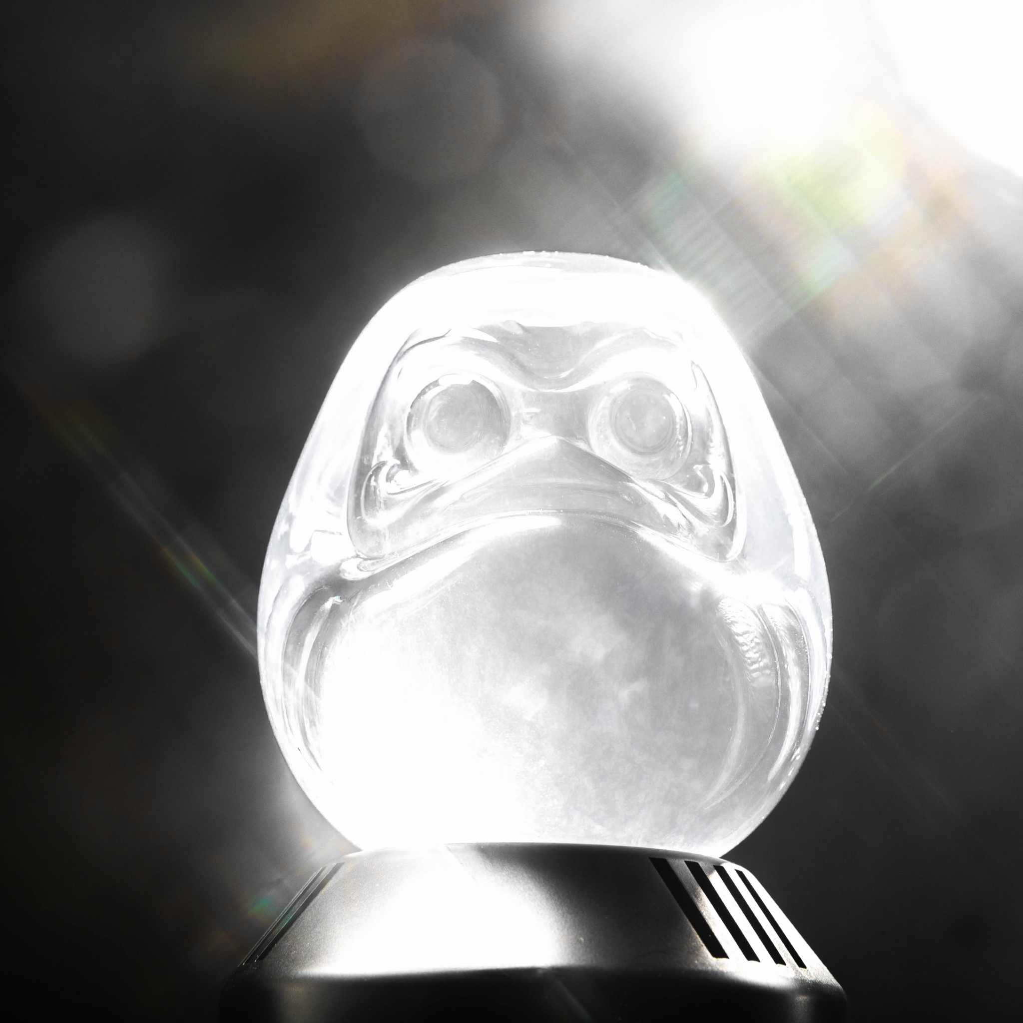 XCTRL 元気小DAMO透感實心達摩