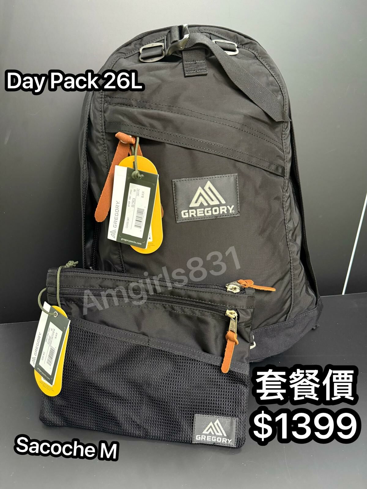 Gregory day pack black +  GREGORY SACOCHE M black