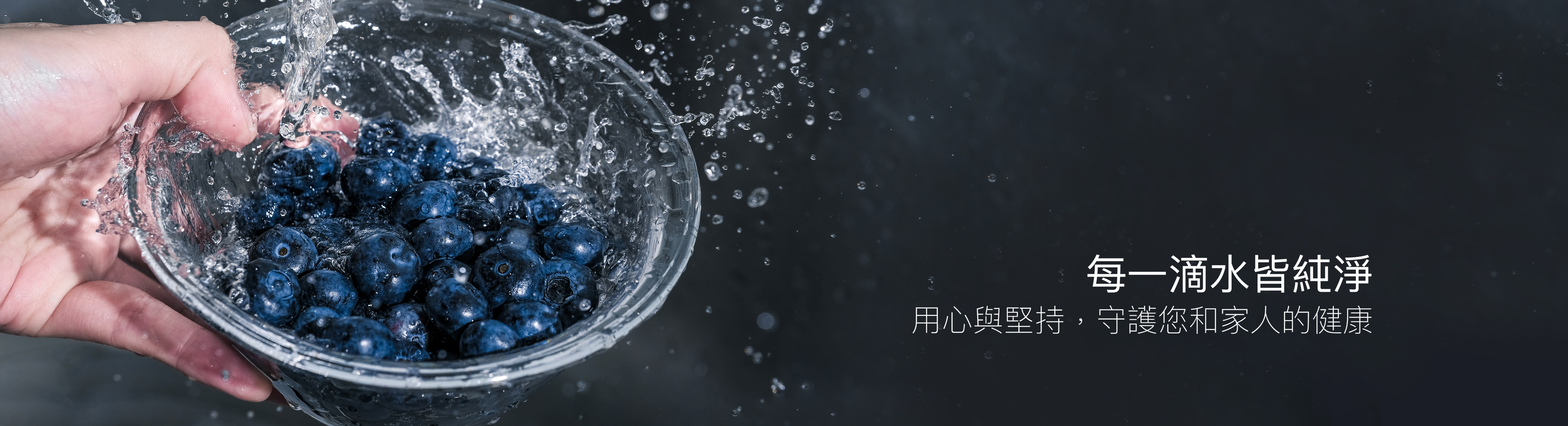 桃園淨水器推薦,淨水器哪一家好？,淨水器可以直接喝嗎？,裝淨水器多少錢？,淨水器要怎麼選