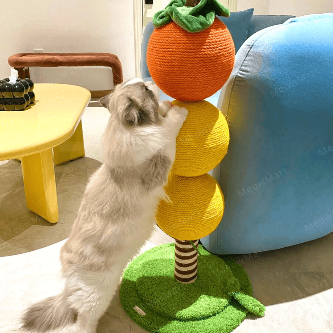 心想事成幸運柿貓抓柱