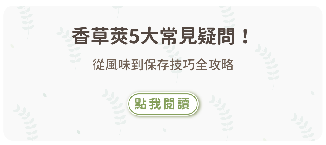 vanilla-bean-questions