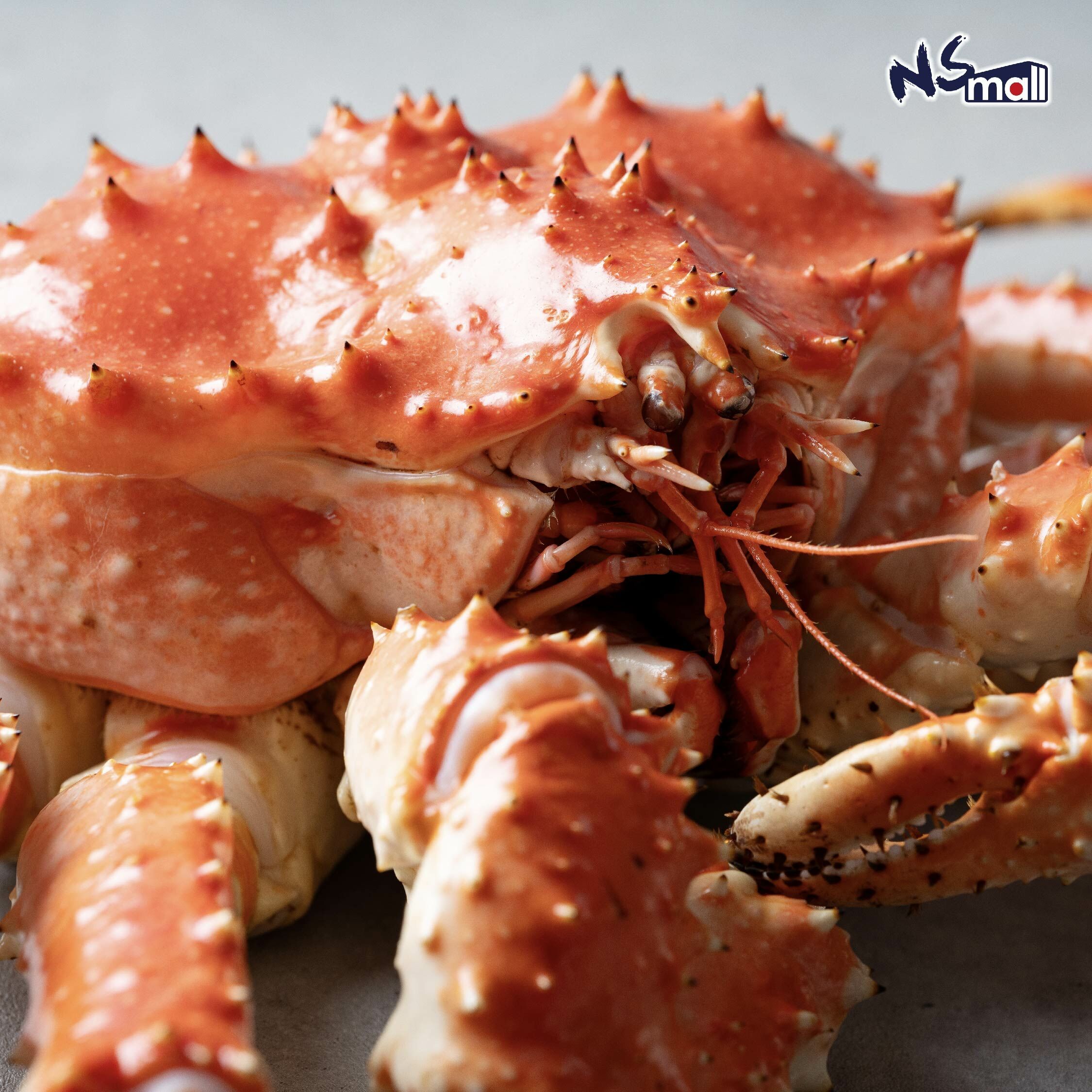 北海道 鱈場蟹(公) /隻