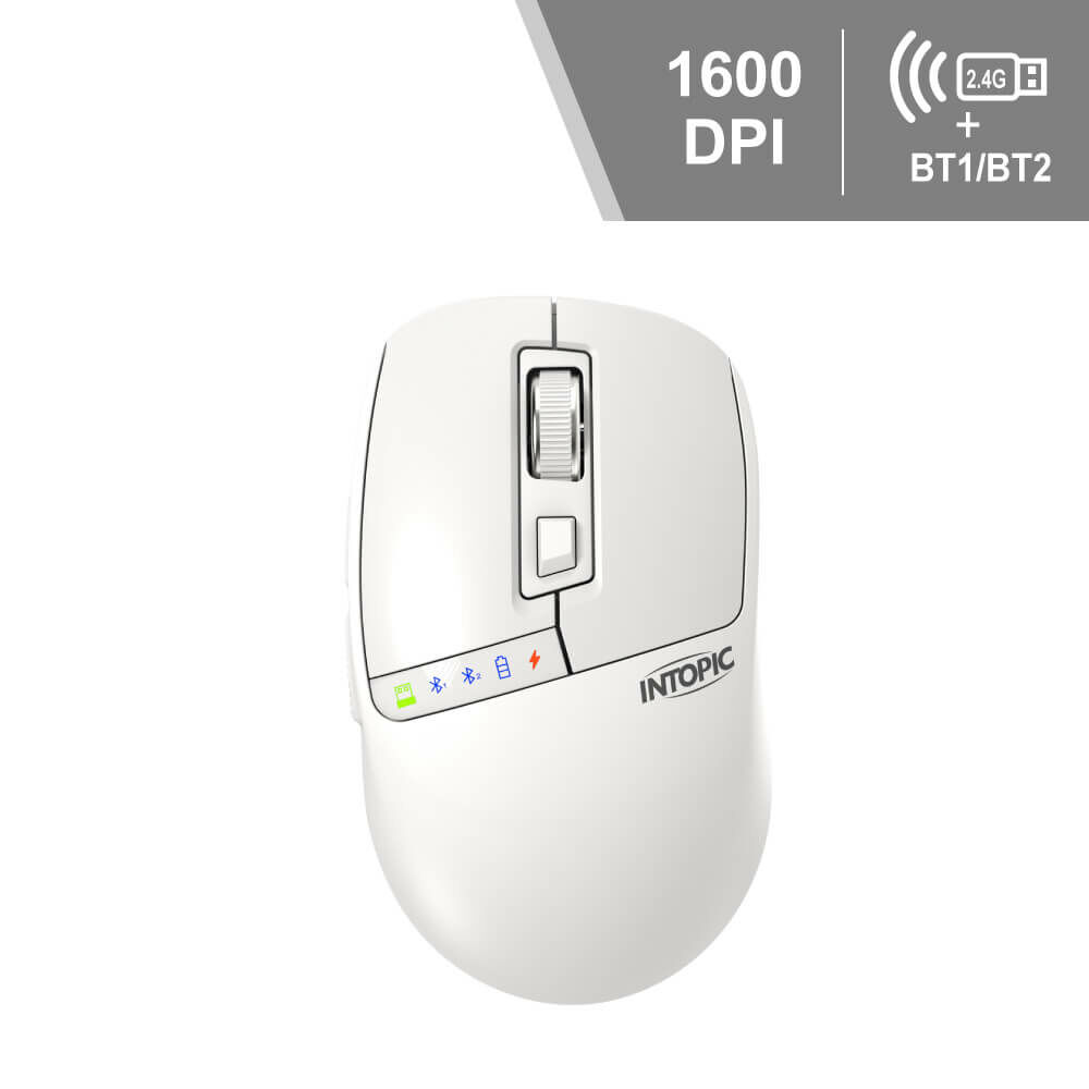 滑行者無線雙模充電滑鼠 MSW-D170