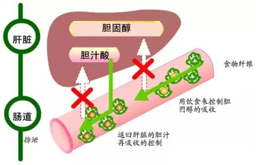 膽汁