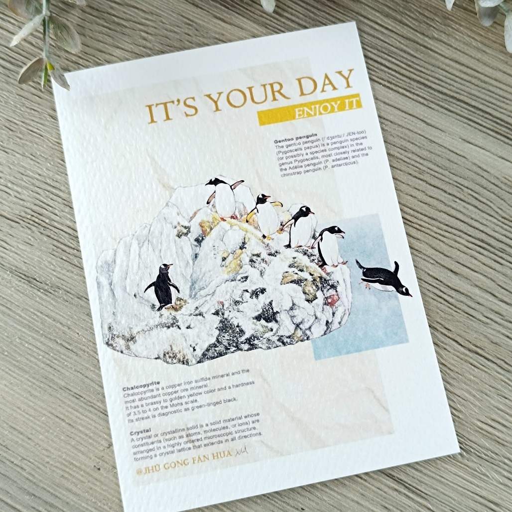 竹工凡花．礦嶼動物封面故事 萬用卡片 明信片 共六款