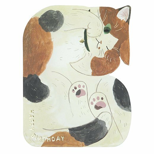 虎斑貓_箱子貓咪 造型生日卡片｜日本Greeting Life