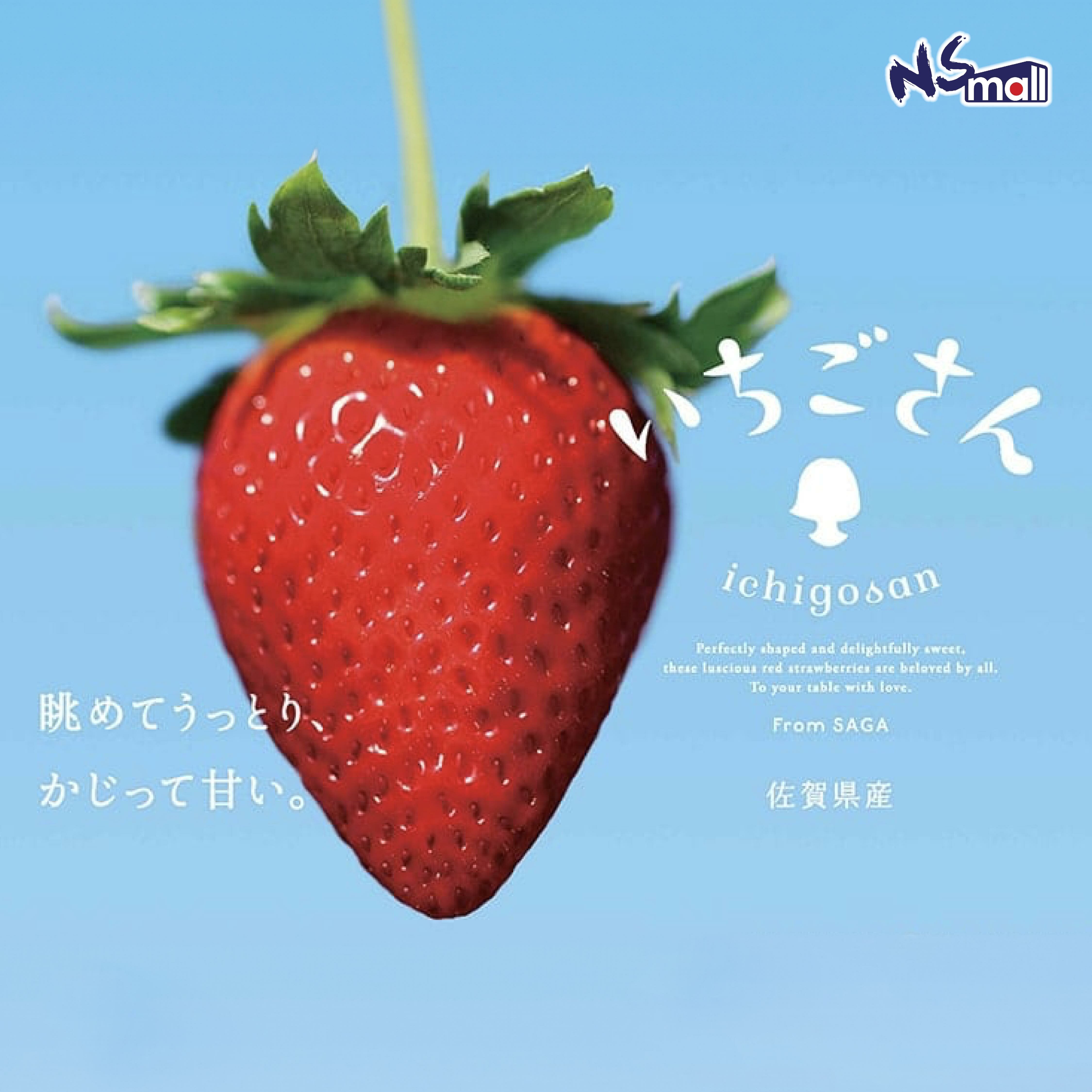 佐賀莓小姐 士多啤梨禮盒 約500g/盒