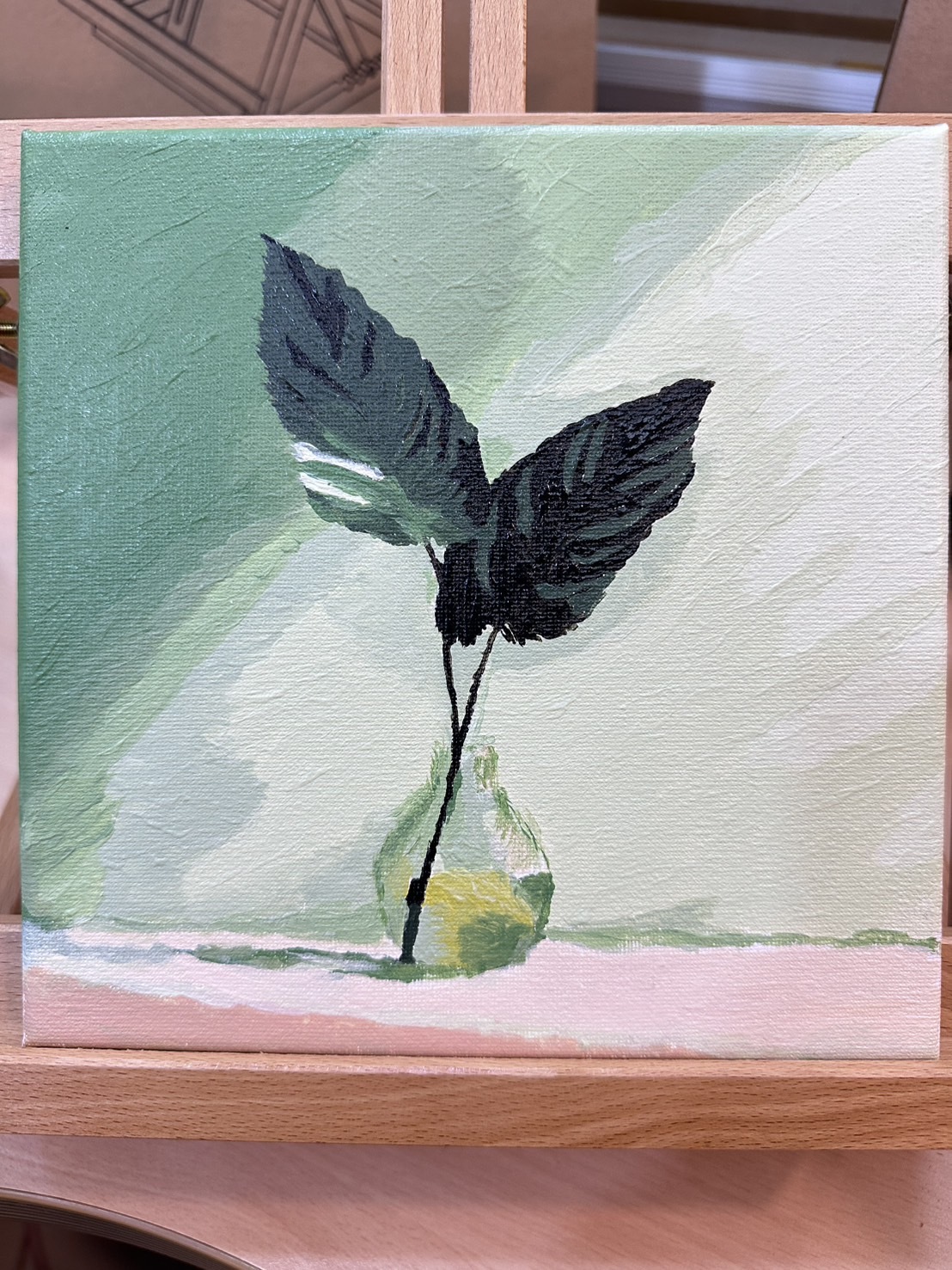 【AQ023】綠意盎然（袋裝）